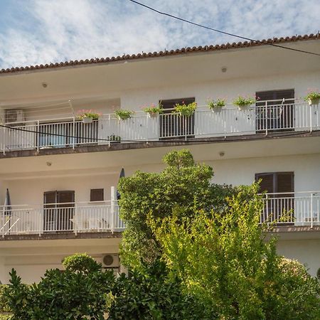 Villa Maria Novigrad  Exterior photo