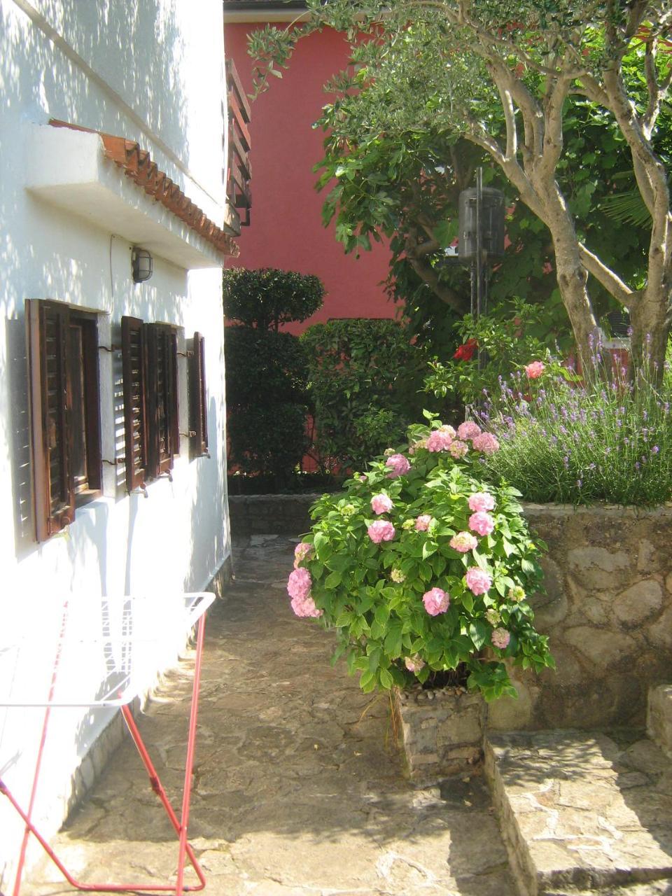 Villa Maria Novigrad  Exterior photo